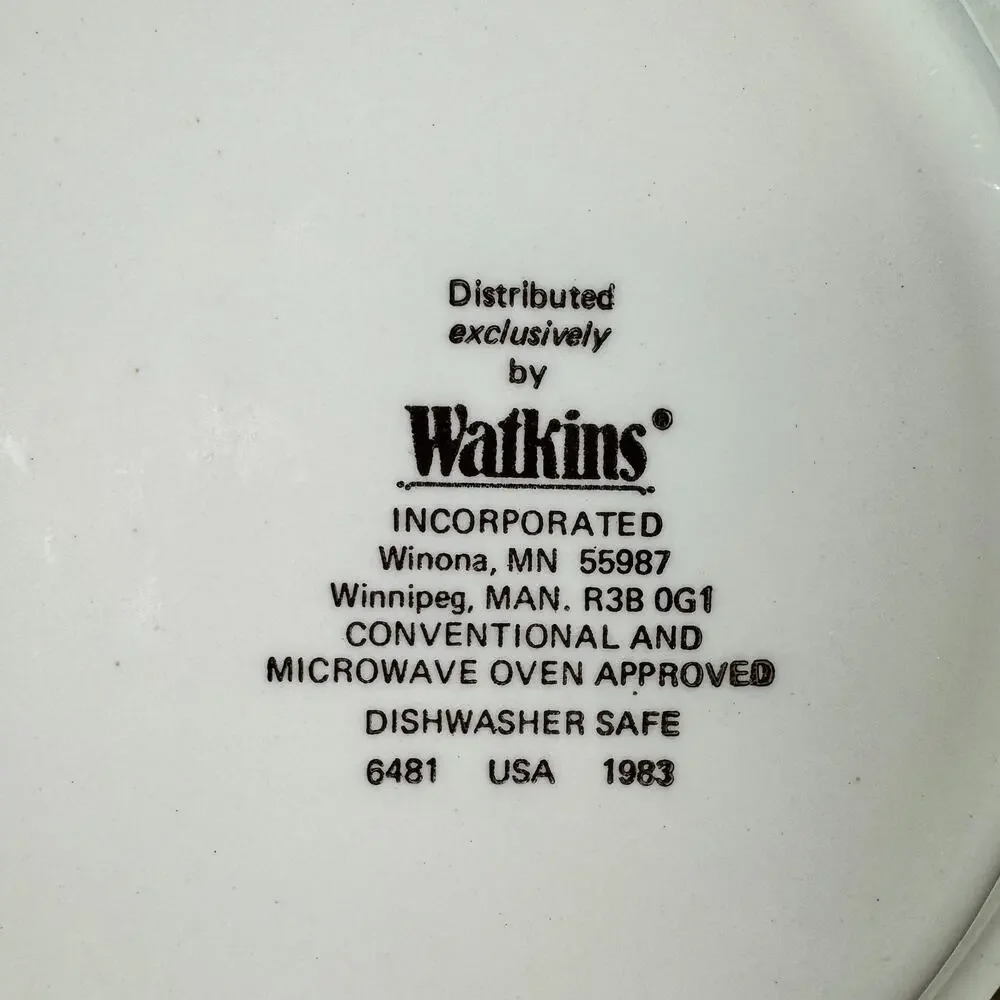 Watkins Mexican Sombrero Pie Recipe Ceramic Pie Plate Vintage USA 1983
